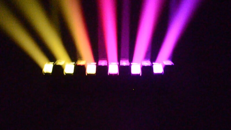 12 Octopus Light