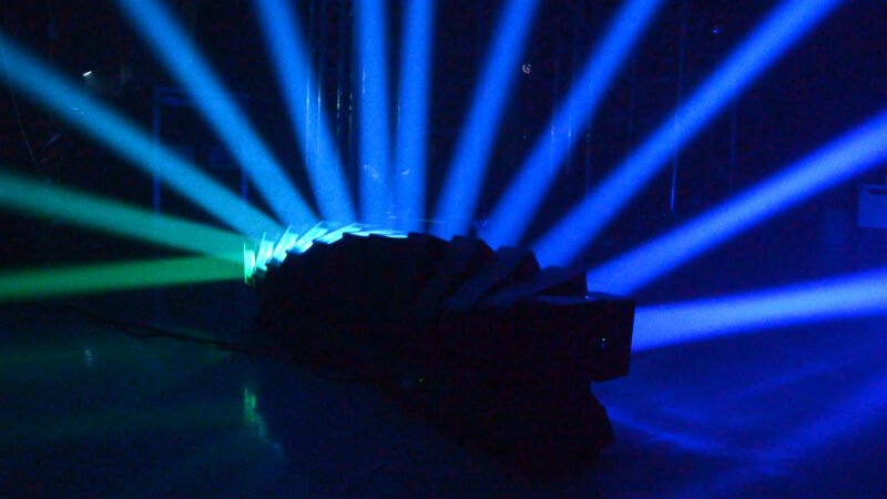 12 Octopus Light