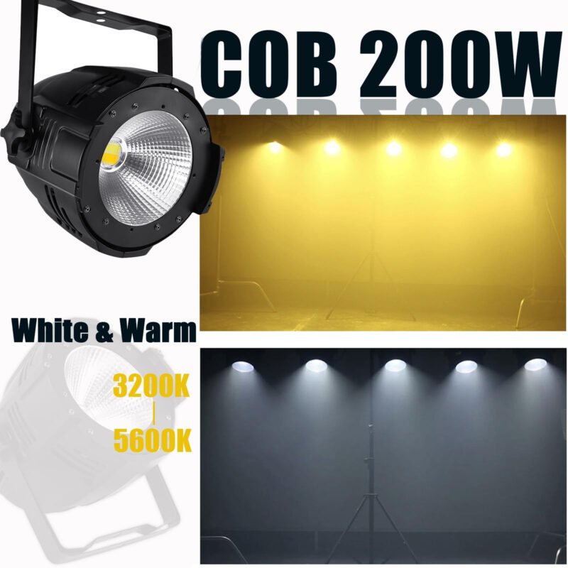 FRLT-200W COB LED Par Light