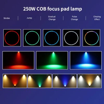 FRLT-250W COB Surface Light