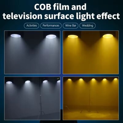 FRLT-200W COB LED Par Light