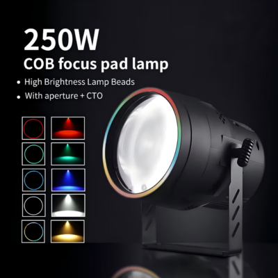 FRLT-250W COB Surface Light