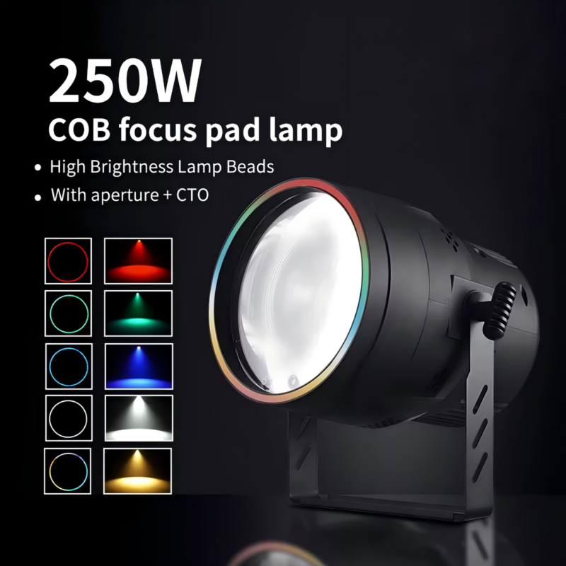 FRLT-250W COB Surface Light