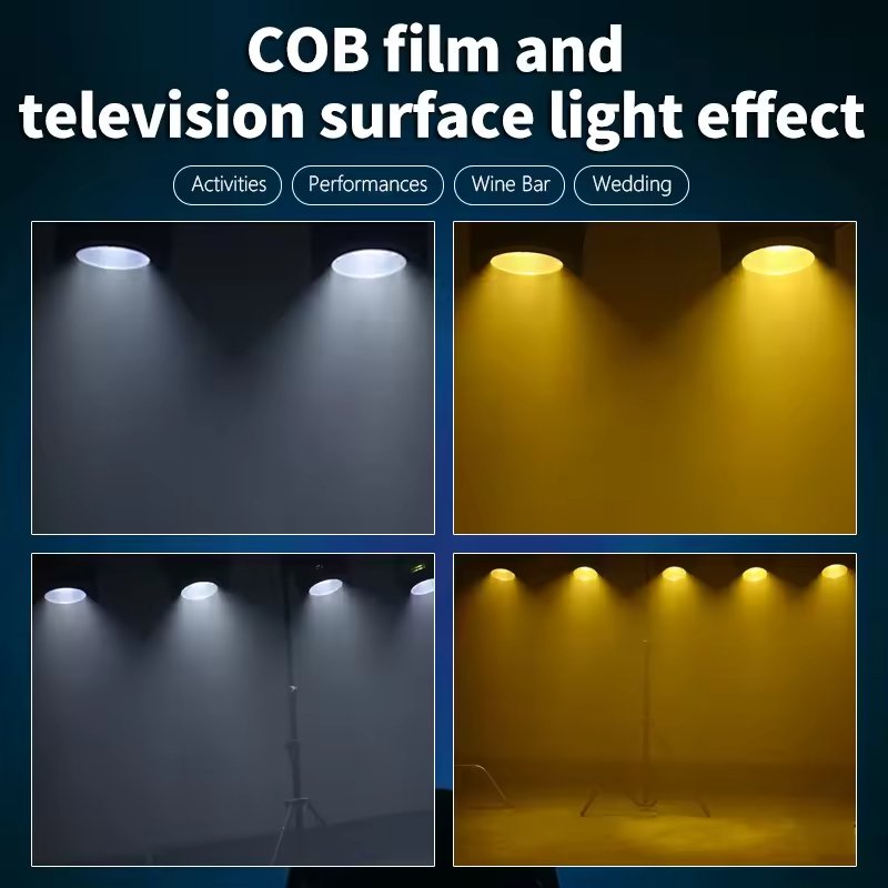 FRLT-200W COB LED Par Light