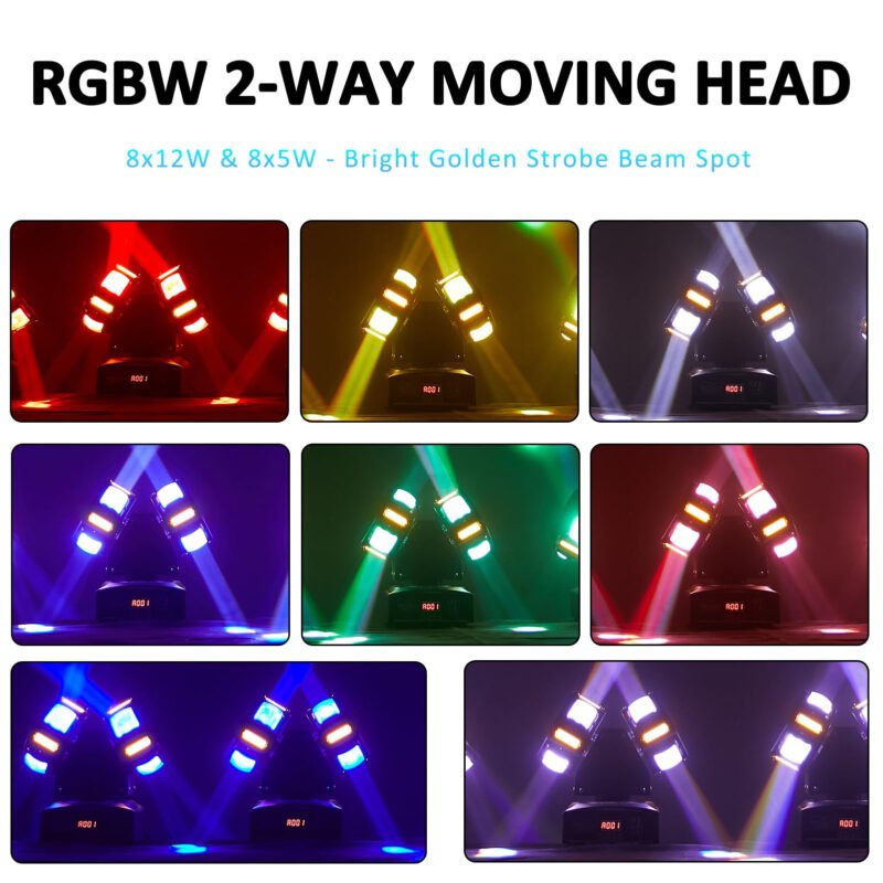 FRLT-Double headed gecko