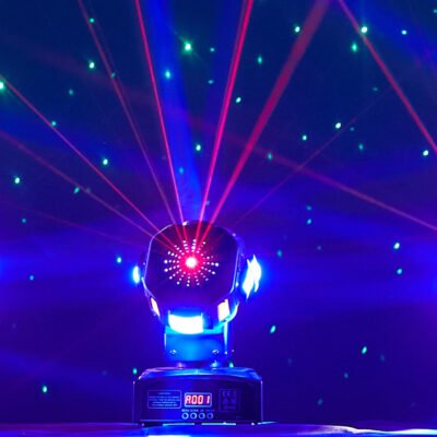 FRLT-Double headed gecko